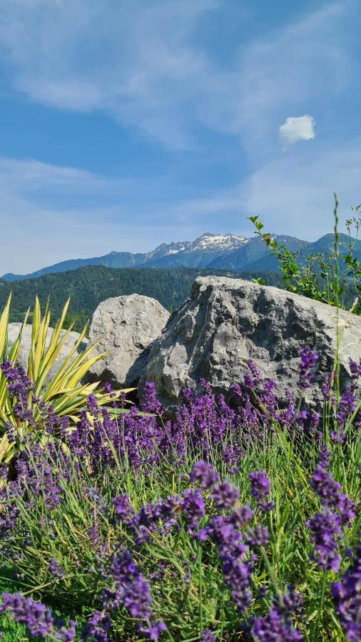 Le Refuge Du Montagnard Bed & Breakfast Marthod Exterior photo